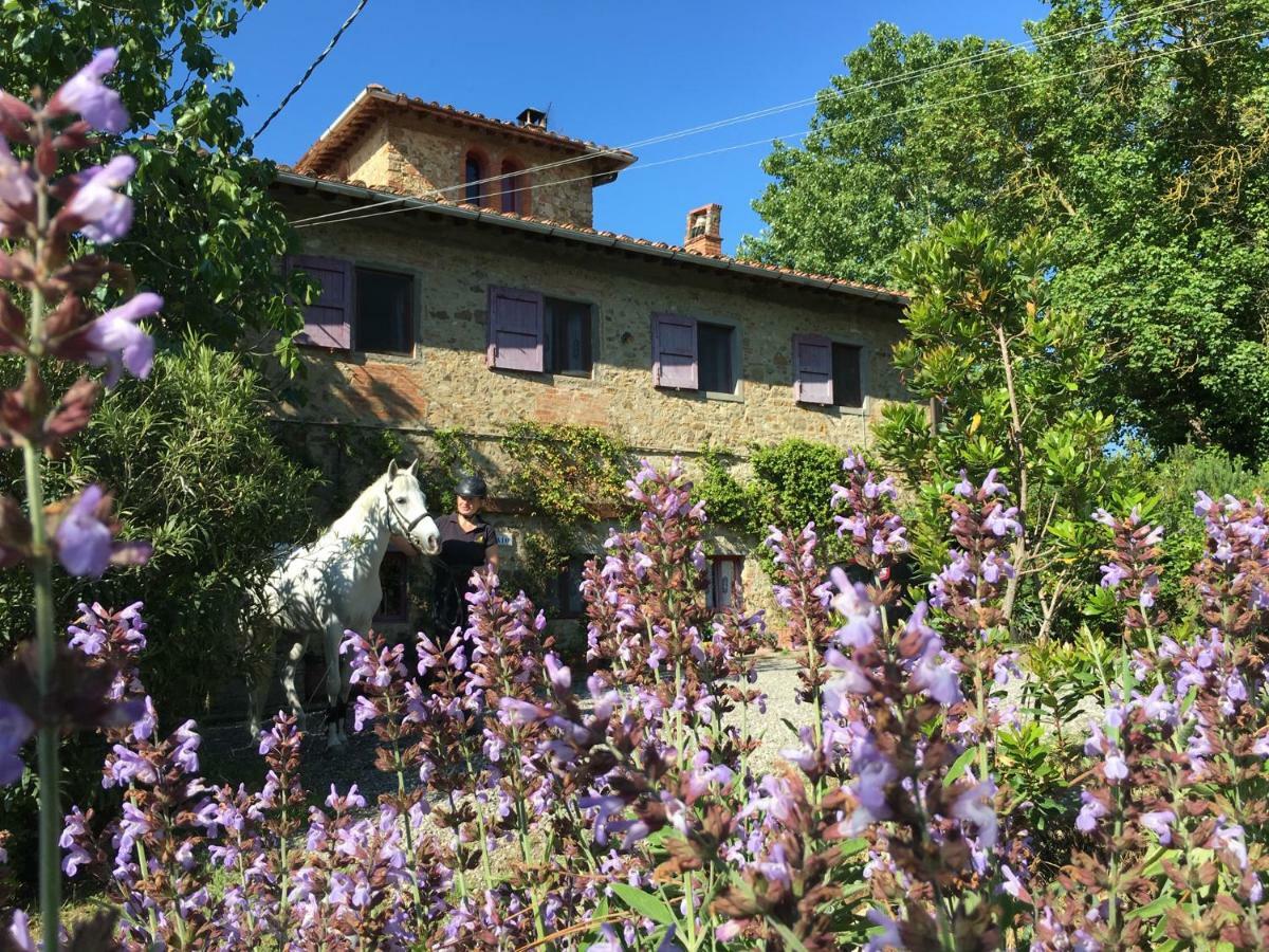 Farmhouse B&B Il Paretaio Barberino di Val dʼElsa Exteriör bild