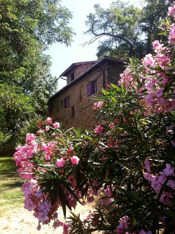 Farmhouse B&B Il Paretaio Barberino di Val dʼElsa Exteriör bild