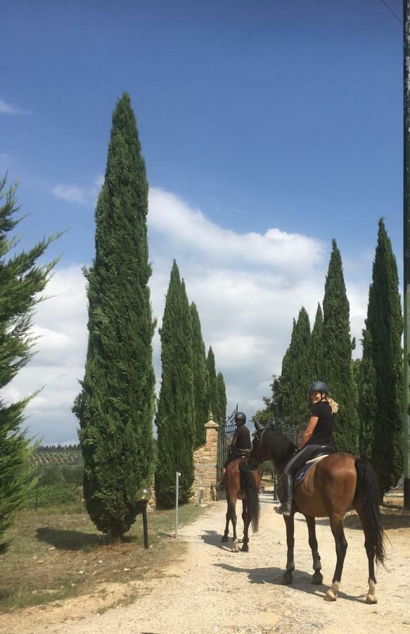 Farmhouse B&B Il Paretaio Barberino di Val dʼElsa Exteriör bild